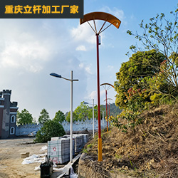 重庆农家乐路灯杆工程案列