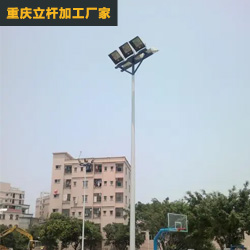 中杆灯工程案列