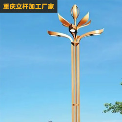 玉兰灯项目工程